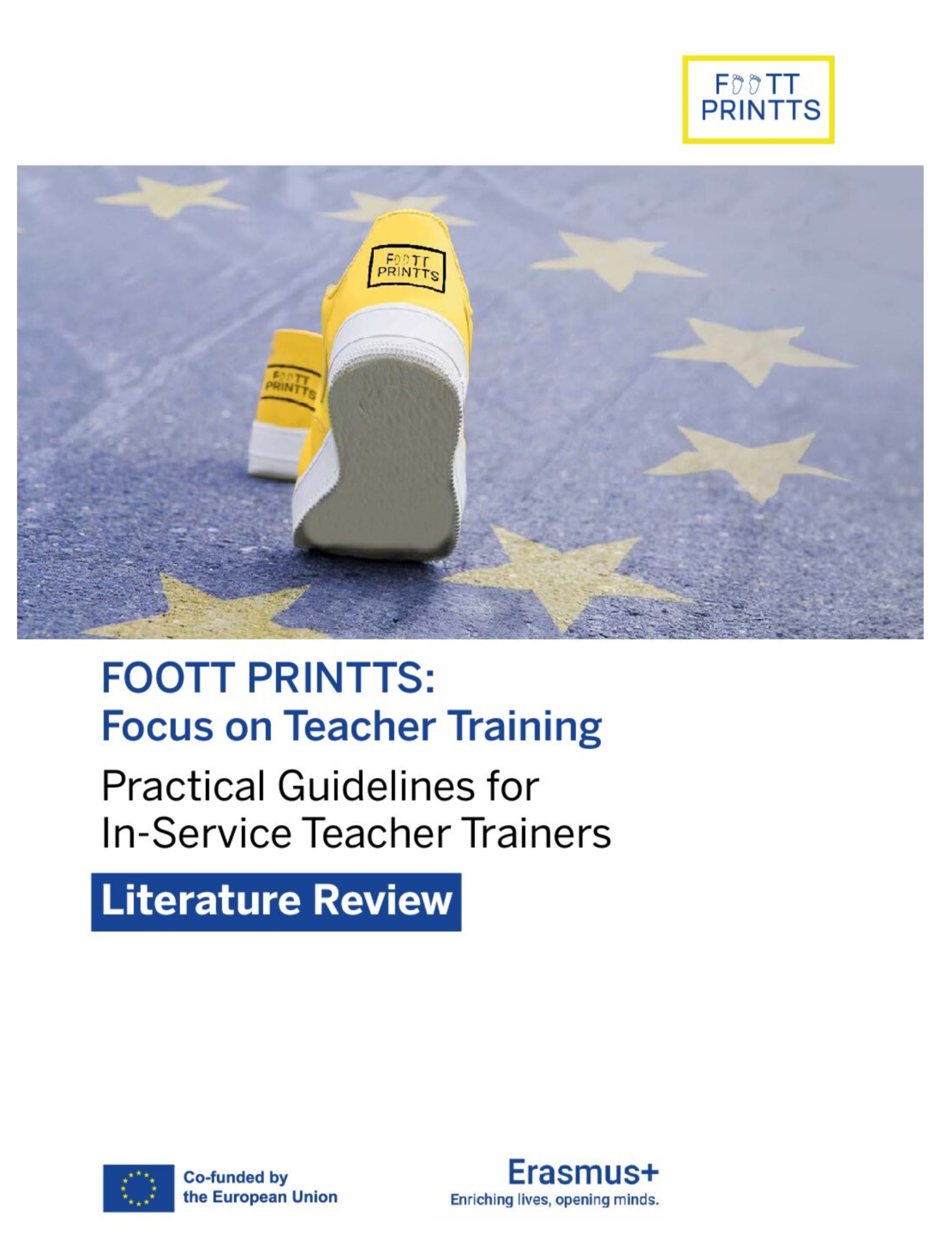 Introduction to the FOOTT PRINTTS Literature Review